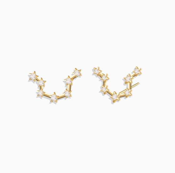 ساده میخی بهمن