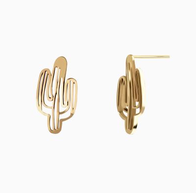 ساده میخی کاکتوس