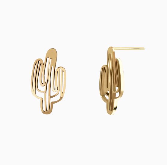 ساده میخی کاکتوس