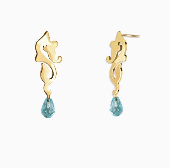 ساده میخی اسب دریایی